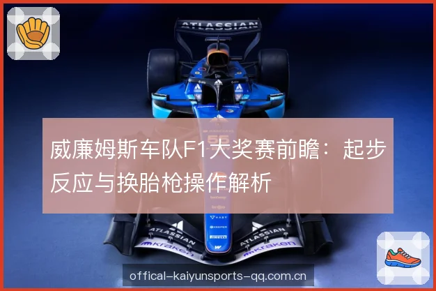 威廉姆斯车队F1大奖赛前瞻:起步反应与换胎枪操作解析 威廉姆斯车队F1大奖赛前瞻:起步反应与换胎枪操作解析